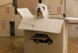 How Do Removalists Help Homeowners?