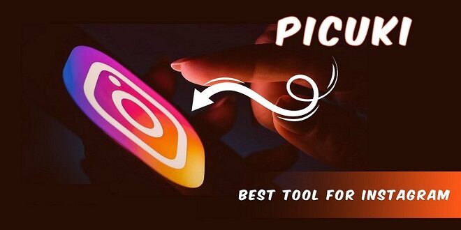 Picuki For Extreme Manual for Instagram Watcher and Supervisor