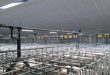 Agriculture Lighting: Improving Pig Productivity and Safety
