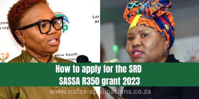 How to Apply for the SRD SASSA R350 Grant 2023: A Comprehensive Guide
